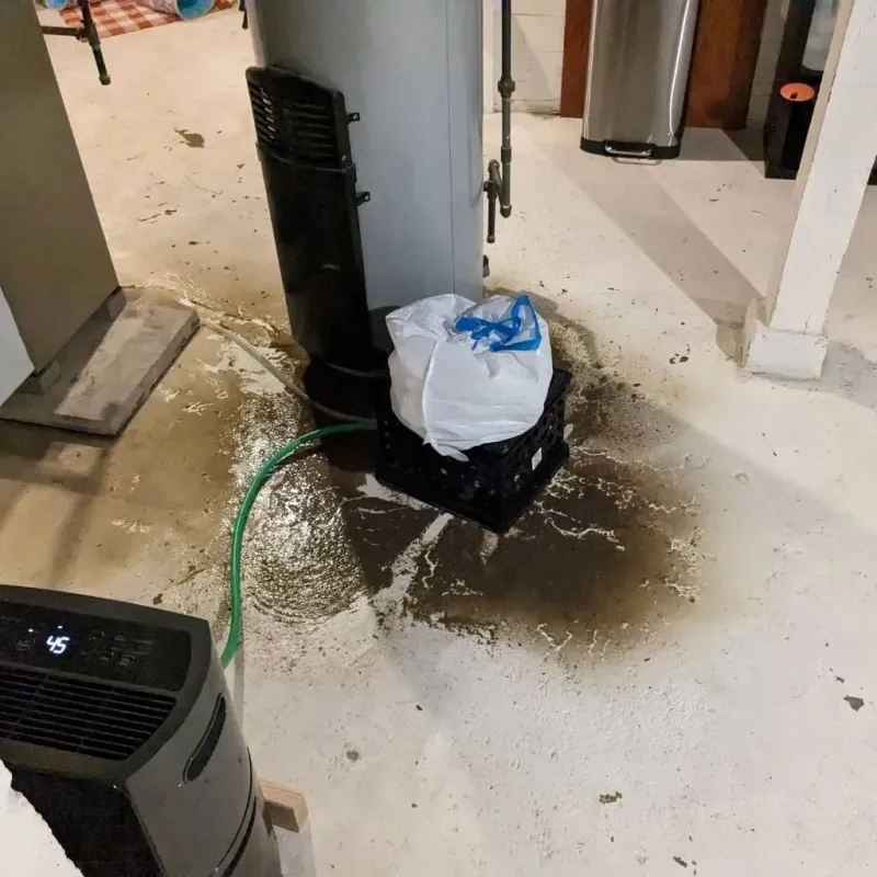 Sewage Backup Cleanup Service in Robesonia, PA
